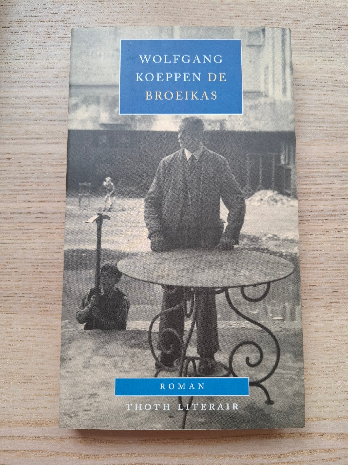 Wolfgang Koeppen - De broeikas, Ophalen of Verzenden, Zo goed als nieuw, W. Koeppen