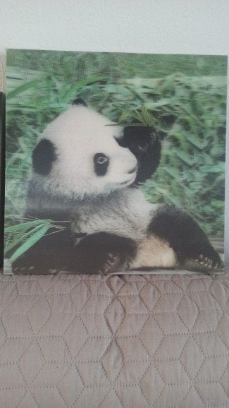 3D schilderij Olifant, Leeuw of Panda /Hondjes, Ophalen of Verzenden, Zo goed als nieuw, Minder dan 50 cm, Overige typen