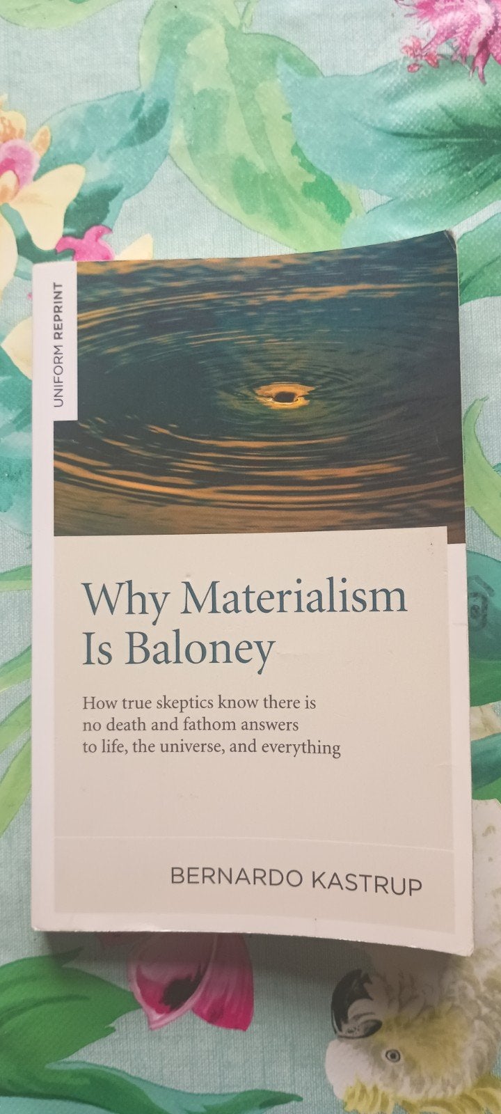 Bernardo Kastrup Why materialism is balony, Ophalen of Verzenden