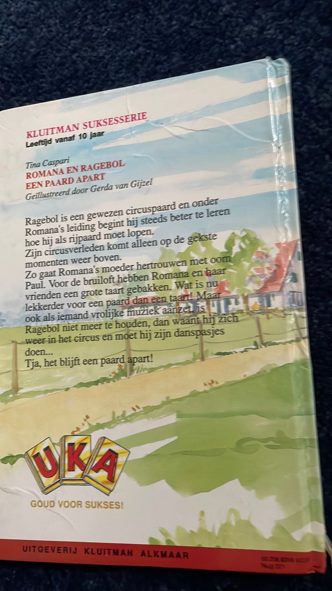 Romana en de ragebol, Ophalen of Verzenden, Zo goed als nieuw, Fictie algemeen