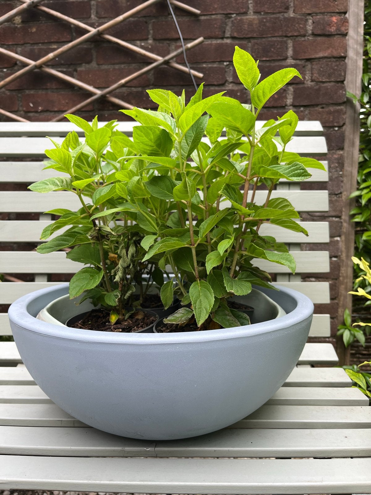 Nieuwe kunststof plantenbak / minivijver - Ø 39cm, Kunststof, Minder dan 30 cm, Minder dan 60 cm, Rond