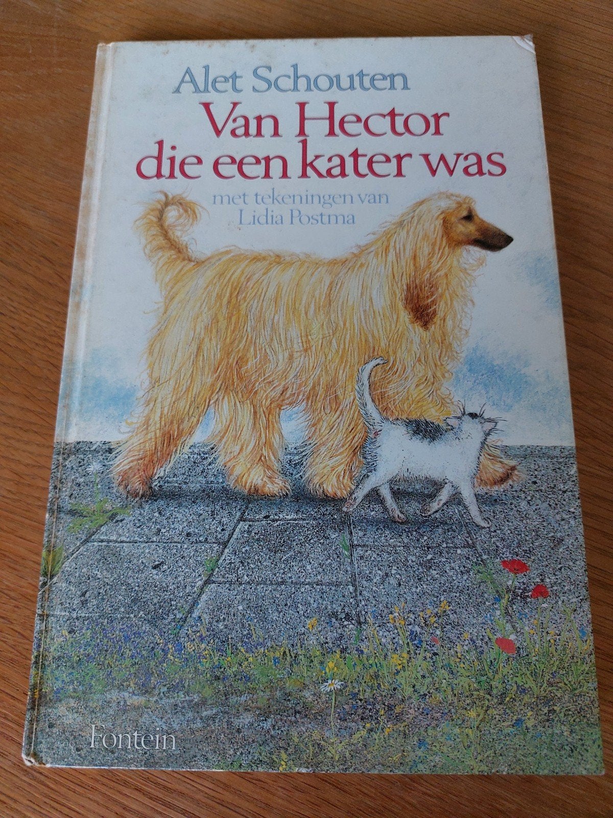 Alet Schouten - Van Hector die een kater was, Boeken, Gelezen, Fictie algemeen, Alet Schouten, Ophalen of Verzenden