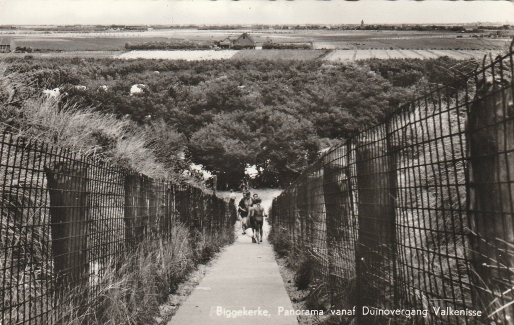 BIGGEKERKE Panorama vanaf Duinovergang, Verzamelen, Verzenden, 1960 tot 1980, Ongelopen, Zeeland