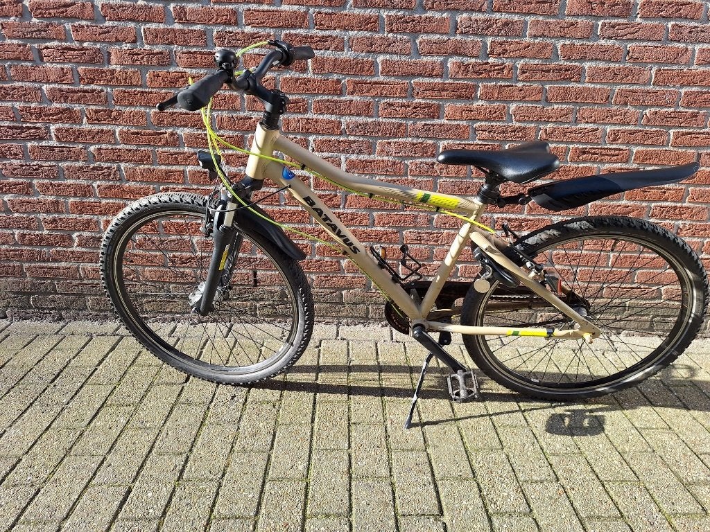Batavus Booster - 24 inch, Ophalen, Versnellingen, Batavus, Schijfrem