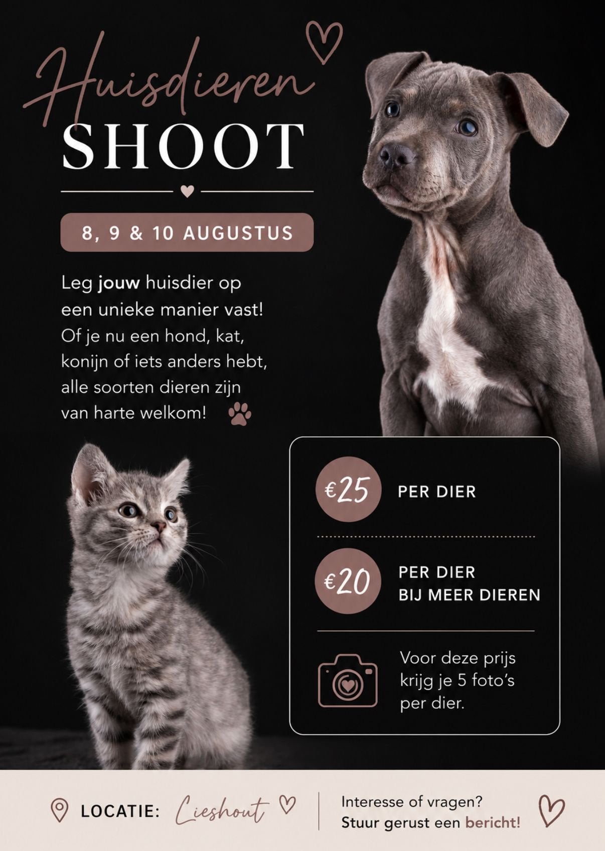 Huisdieren fotoshoot, Ophalen, Zo goed als nieuw