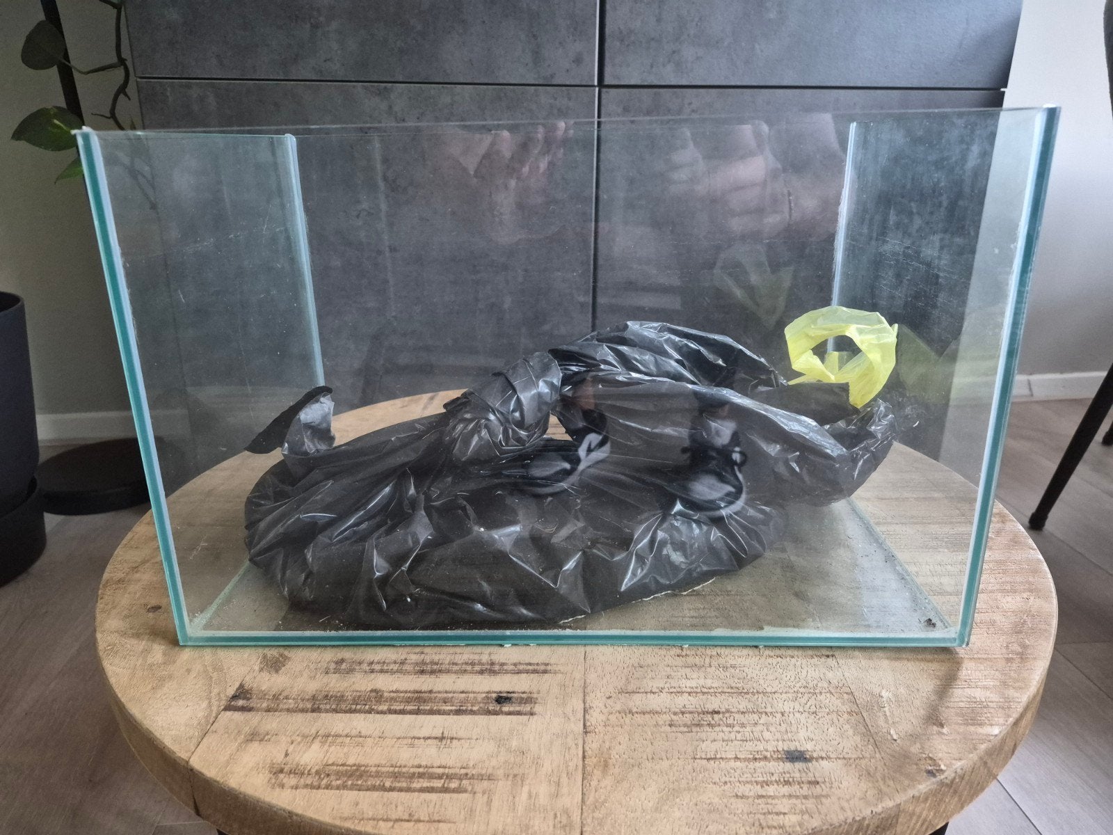 Aquarium 40x25x25cm 25L, Dieren en Toebehoren, Vissen | Aquaria en Toebehoren, Ophalen, Gebruikt, Leeg aquarium