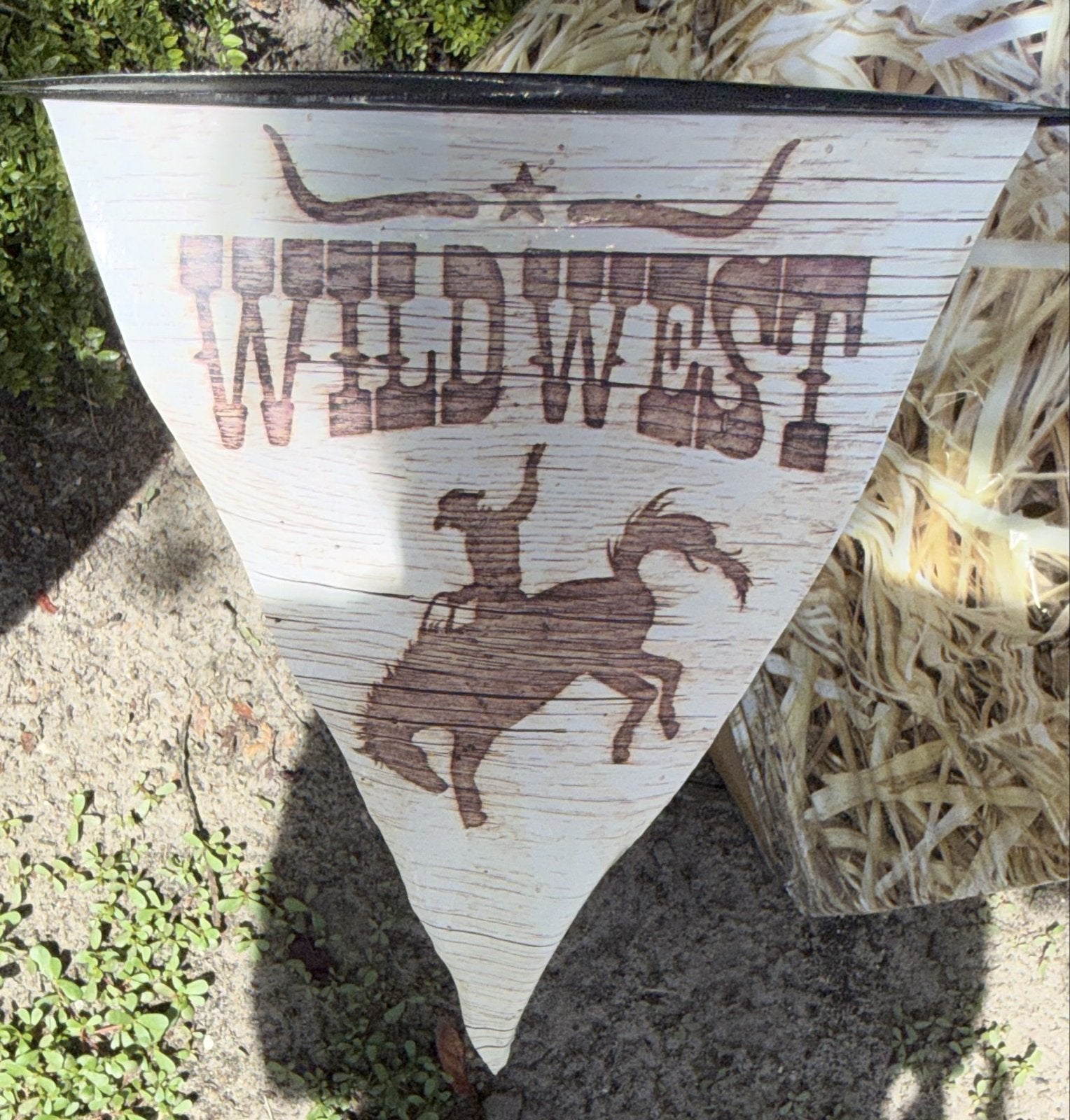 Wild West Cowboy Bar Decoratie met Verlichting, Ophalen, Gebruikt, Versiering, Overige