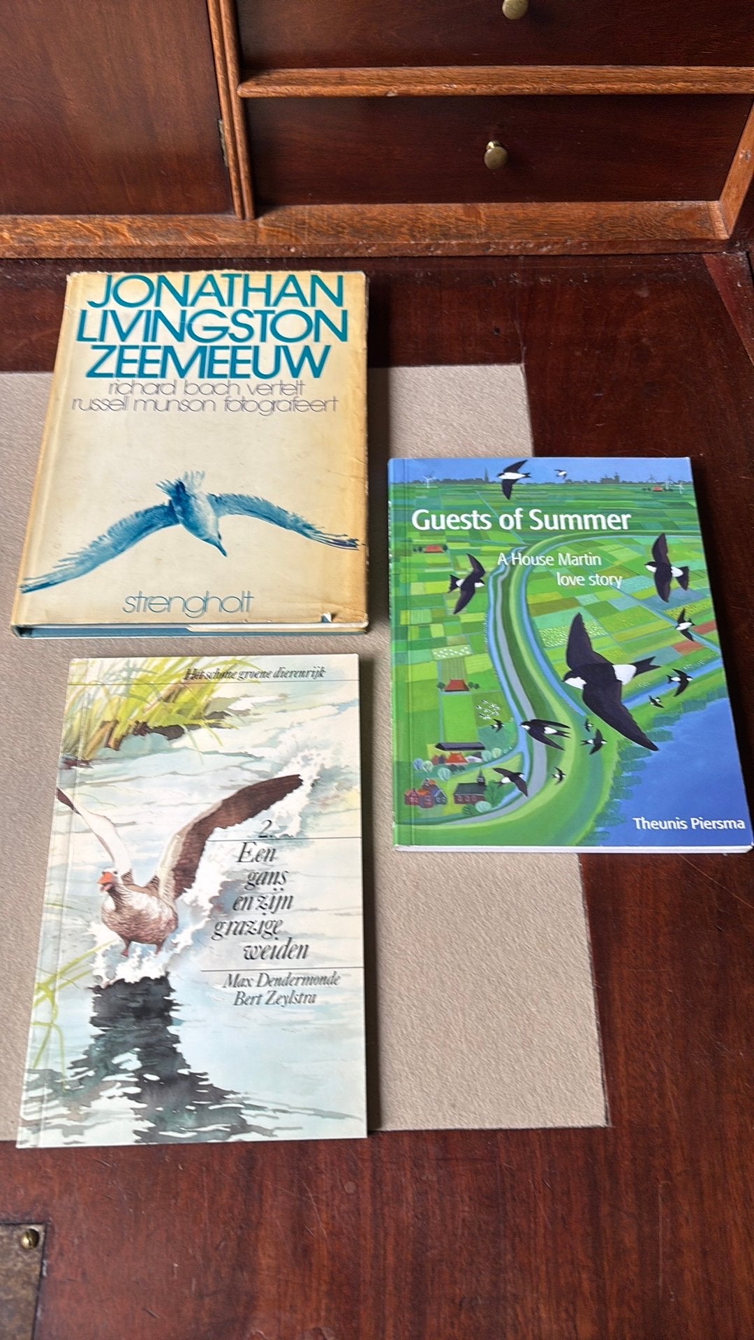 Een gans en zijn grazige weiden- Zeemeeuw- Guests of summer, Boeken, Ophalen of Verzenden, Gelezen