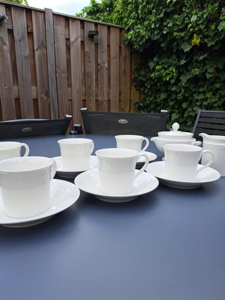 Villeroy & Boch koffiekopjes met suikerpot/melkk, Ophalen