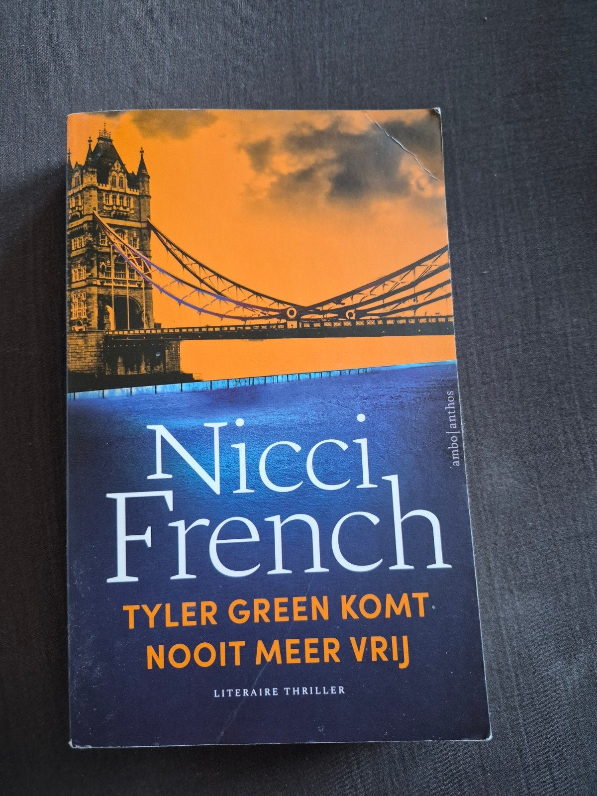 Nicci French - Tyler Green Komt Nooit Meer Vrij, Ophalen of Verzenden, Gelezen, Nicci French, Europa overig