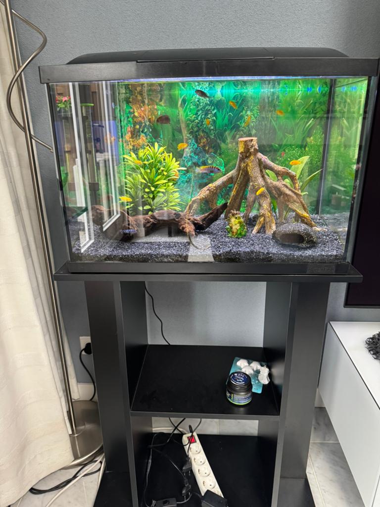 Te koop superfish start 70 aquarium, Dieren en Toebehoren, Vissen | Aquaria en Toebehoren, Gebruikt, Overige merken, Ophalen of Verzenden