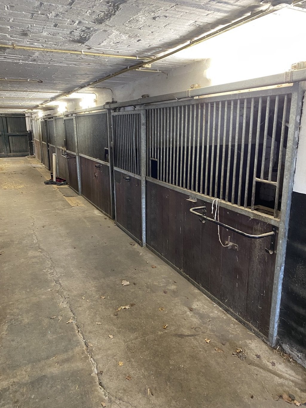 7 paardenboxen, Dieren en Toebehoren