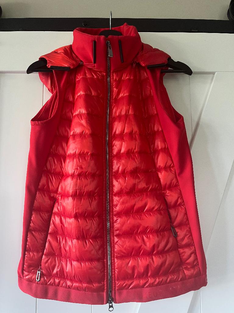 Pikeur bodywarmer maat 36, Gebruikt, Overige soorten, Ophalen of Verzenden, Dames