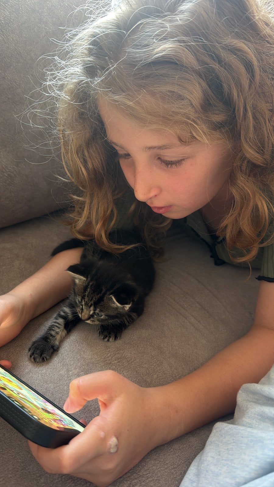 Kittens, Meerdere dieren