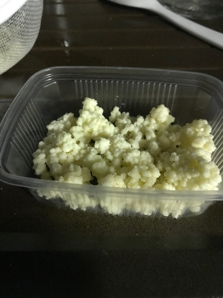 Melkkefir, Ophalen