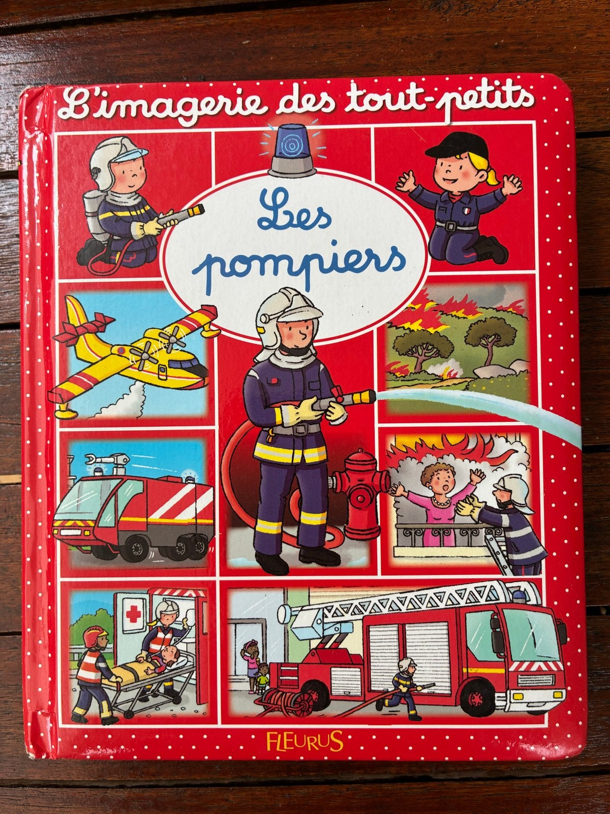 Livres enfant - Franse kinderboeken, Ophalen of Verzenden, Zo goed als nieuw, Non-fictie