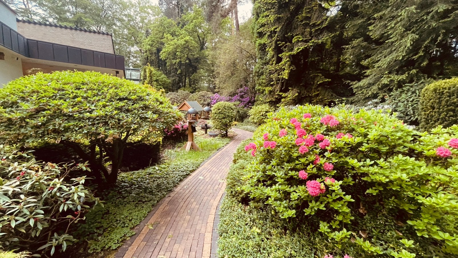 Gevraagd hulp met onze tuin, Diensten en Vakmensen, Tuinonderhoud of Snoeiwerk