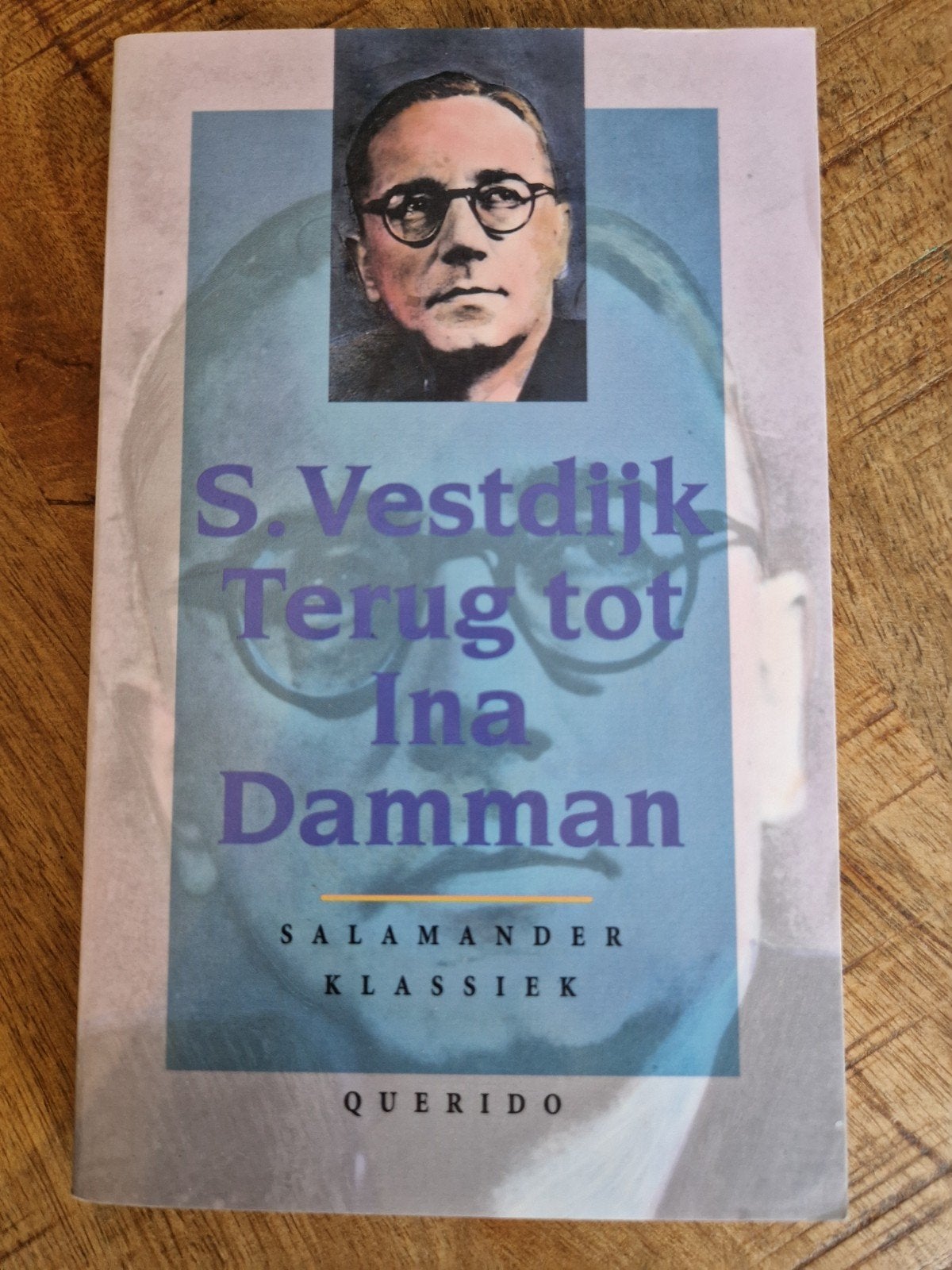 S. Vestdijk - Terug tot Ina Damman (Salamander Klassiek), Ophalen of Verzenden, Gelezen, S. Vestdijk, Nederland