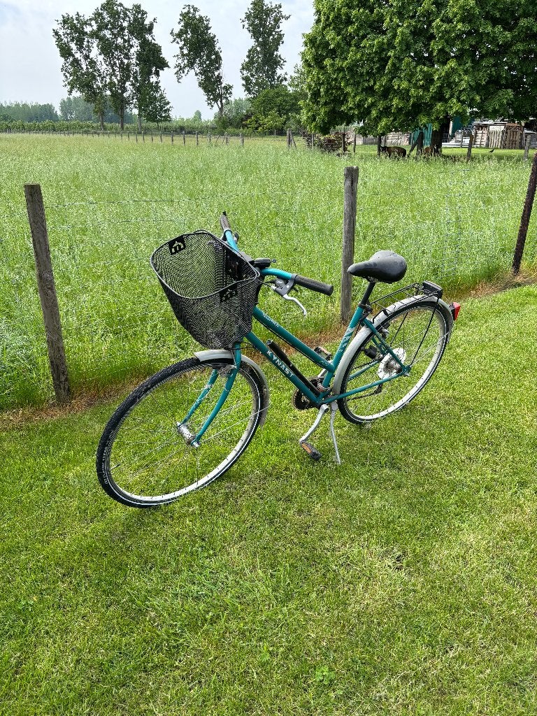Kynast Supra damesfiets, Gebruikt, Velgrem, 47 tot 50 cm, Versnellingen