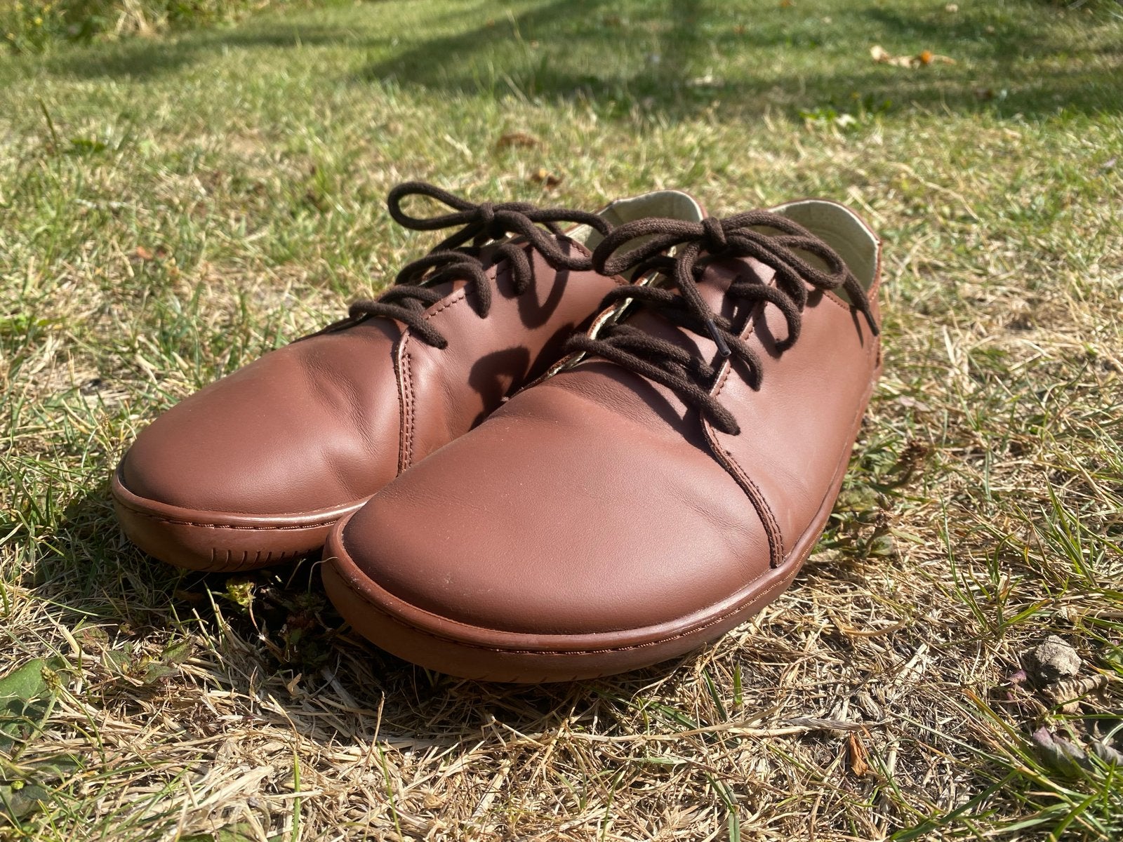 Aylla Barefootschoenen - Bruin, Maat 42, Bruin, Overige typen, Nieuw, Ophalen of Verzenden
