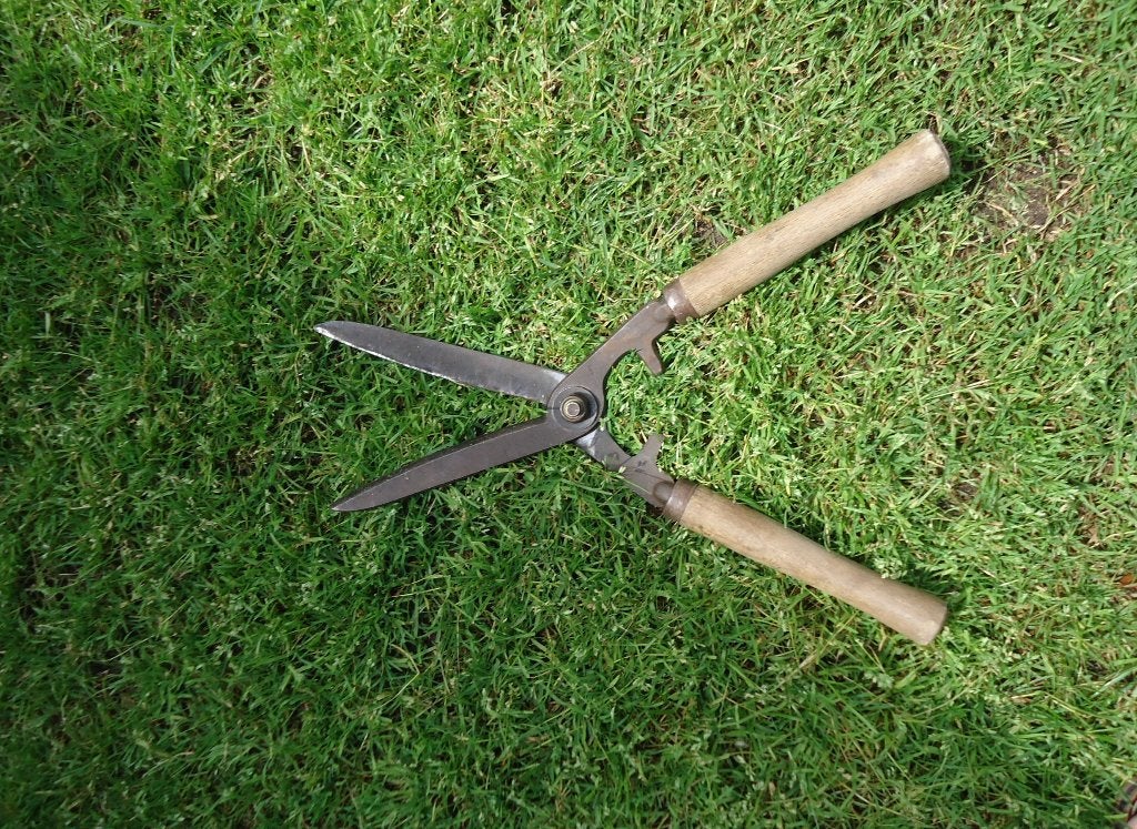 Vintage heggenscharen - scherp werkend snoei gereedschap, Tuin en Terras, Ophalen of Verzenden, Gebruikt, Handmatig