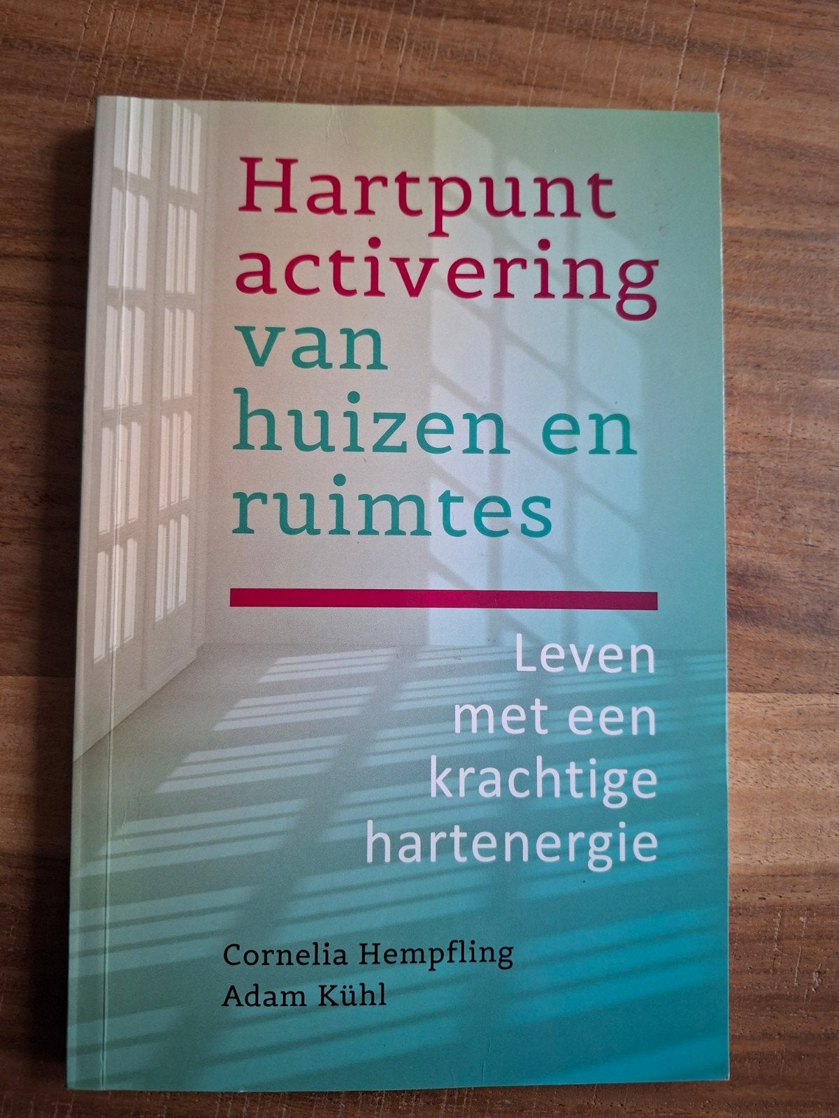 Hartpunt activering van huizen en ruimtes, Boeken, Ophalen of Verzenden, Gelezen, Cornelia Hempfling