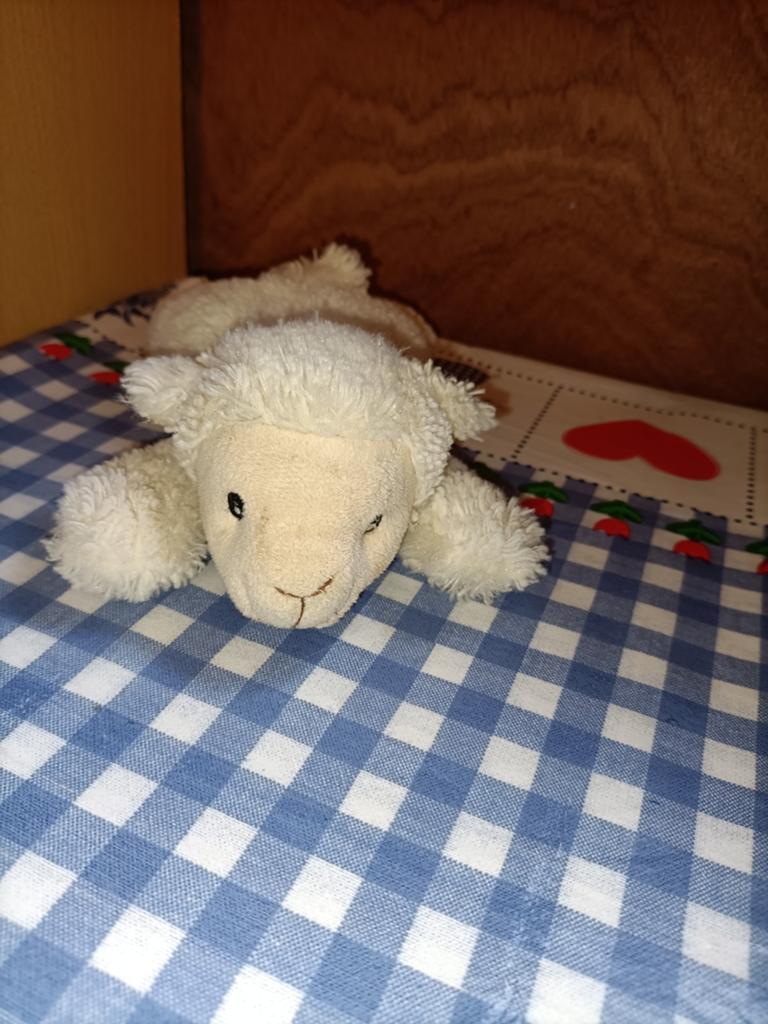 Schaap knuffeltje PIA Holland Schijndel liggend 20 cm, Ophalen of Verzenden, Zo goed als nieuw, Overige typen