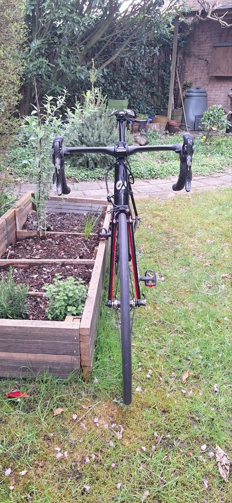 Superlichte Carbon Racefiets - Campagnolo Chorus, Ophalen