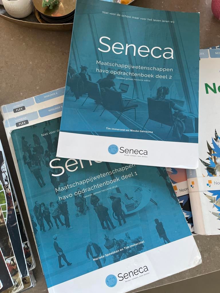 Seneca Maatschappijwetenschappen havo deel 1 en 2, Boeken, Ophalen, Gelezen, HAVO, Maatschappijleer