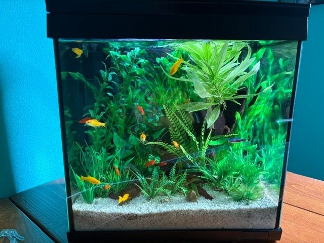 Aquarium 35 breed 37 hoog en 23 diep, Dieren en Toebehoren, Ophalen, Pomp, Zo goed als nieuw, Leeg aquarium