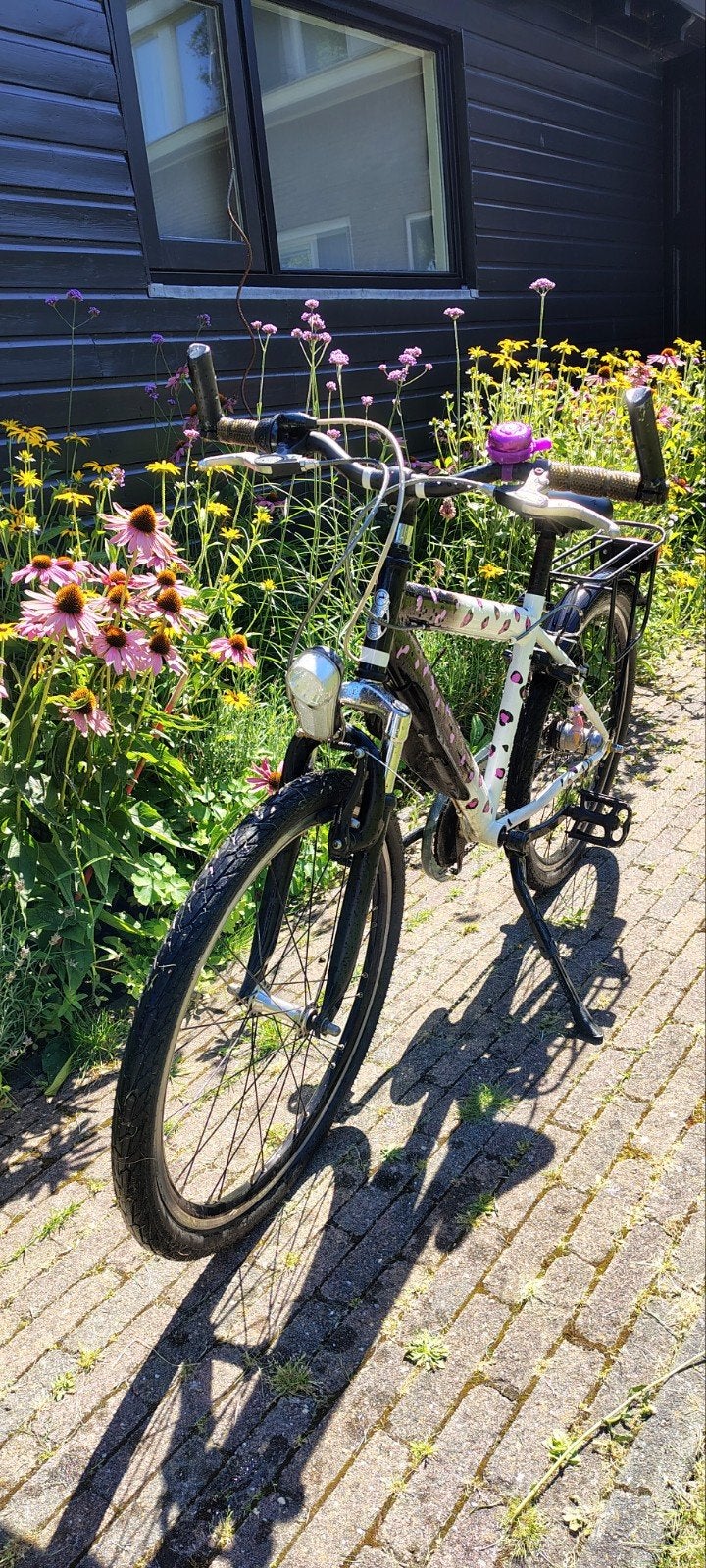 Gazelle 24 inch kinderfiets, jongens of meisjes., Fietsen en Brommers, Fietsen | Kinderfietsjes, Ophalen, Gebruikt, Gazelle, Terugtraprem