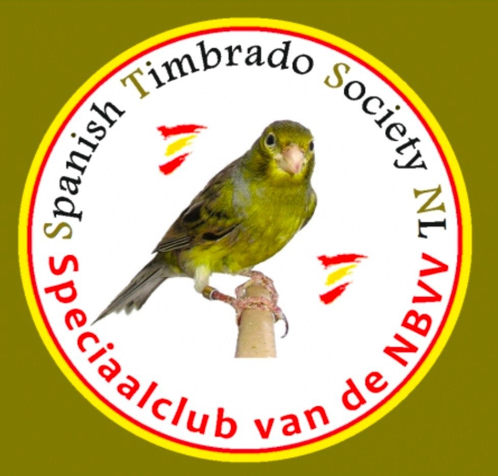 GEVRAAGD <>  TOP ZANGER  <>   GEVRAAGD, Dieren en Toebehoren, Vogels | Kanaries, Mannelijk