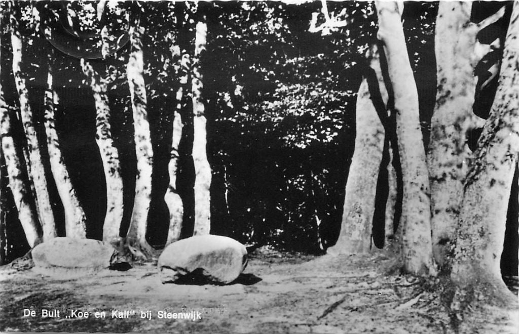 379-174-021 Steenwijk De Bult, Verzamelen, Verzenden, Voor 1920, Overijssel