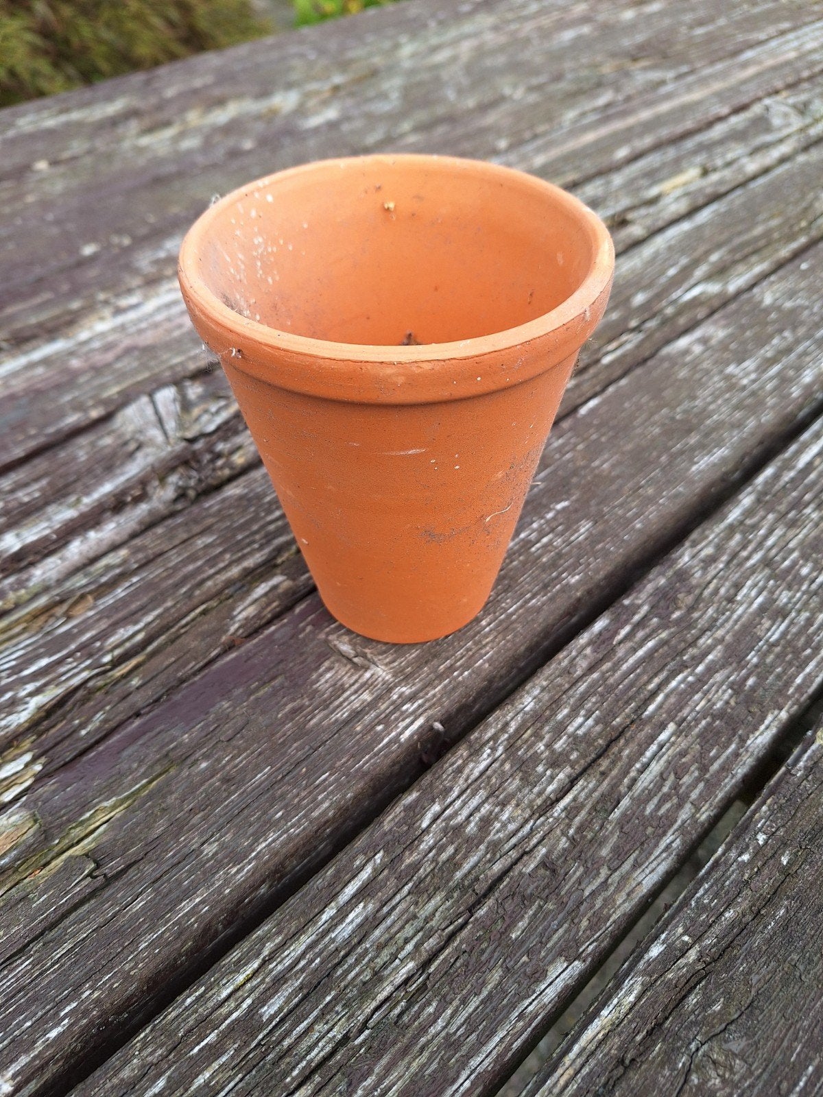 Grote partij terracotta bloempotten, Ophalen, Gebruikt, Overige materialen