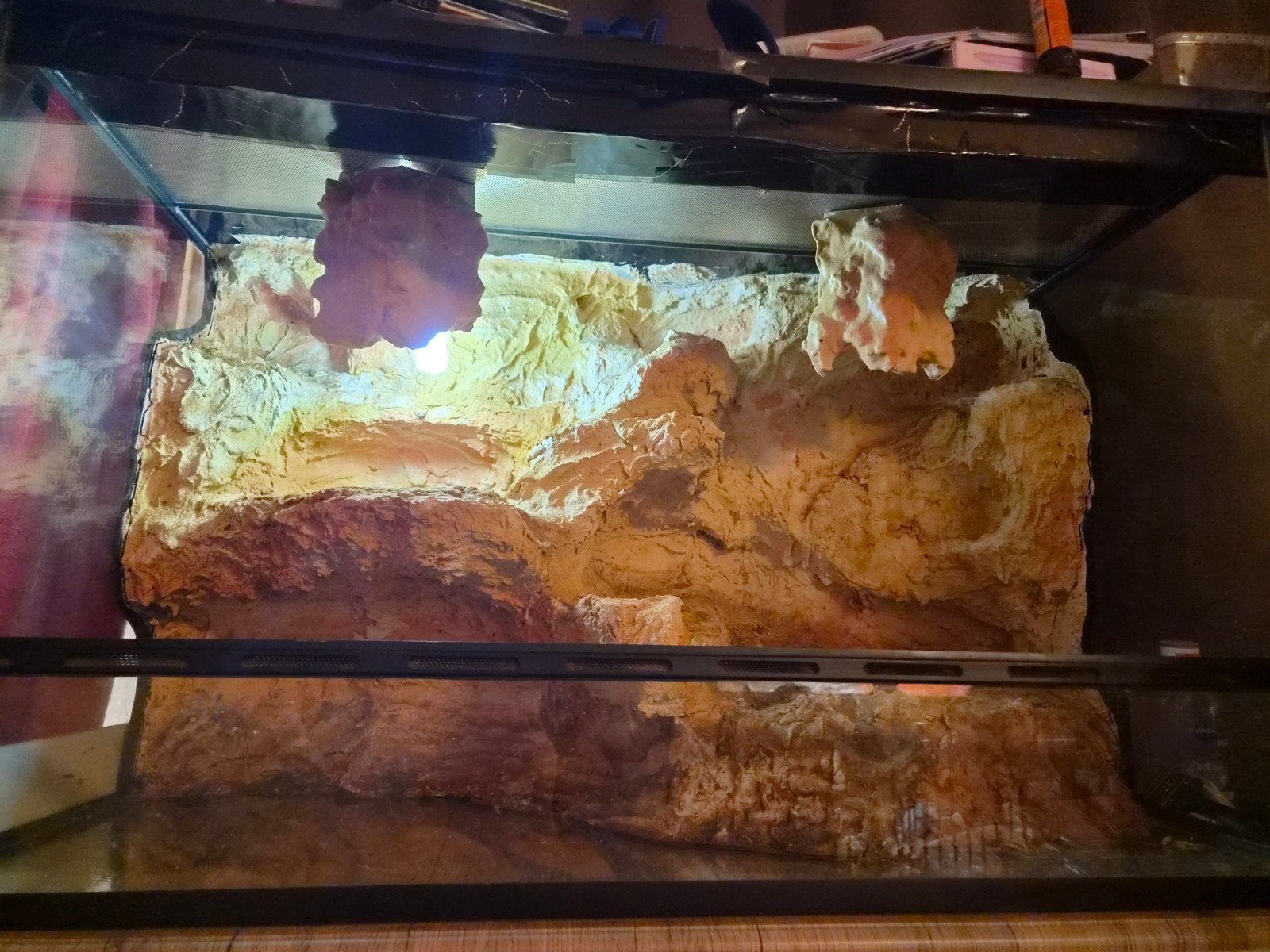 te koop terrarium van blue lagoon, Dieren en Toebehoren, Ophalen