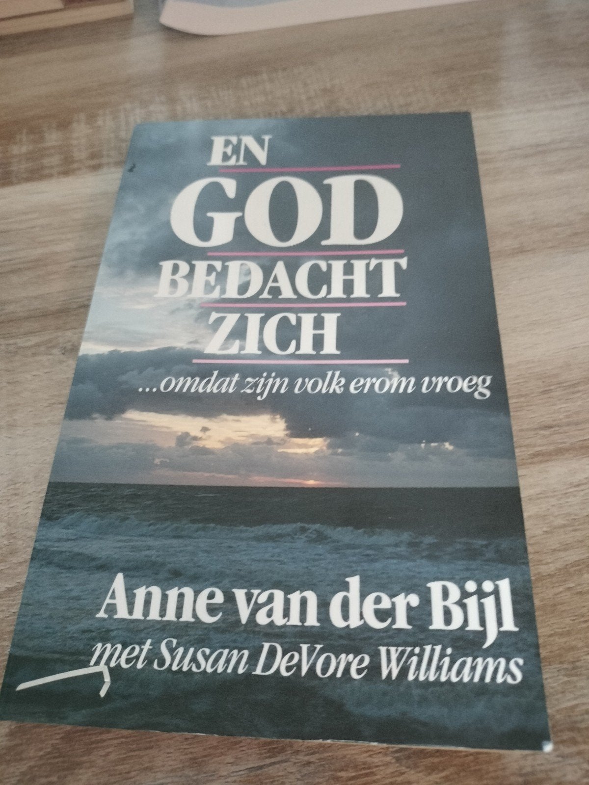 En God Bedacht Zich - Anne van der Bijl (Christelijk), Ophalen of Verzenden, Zo goed als nieuw