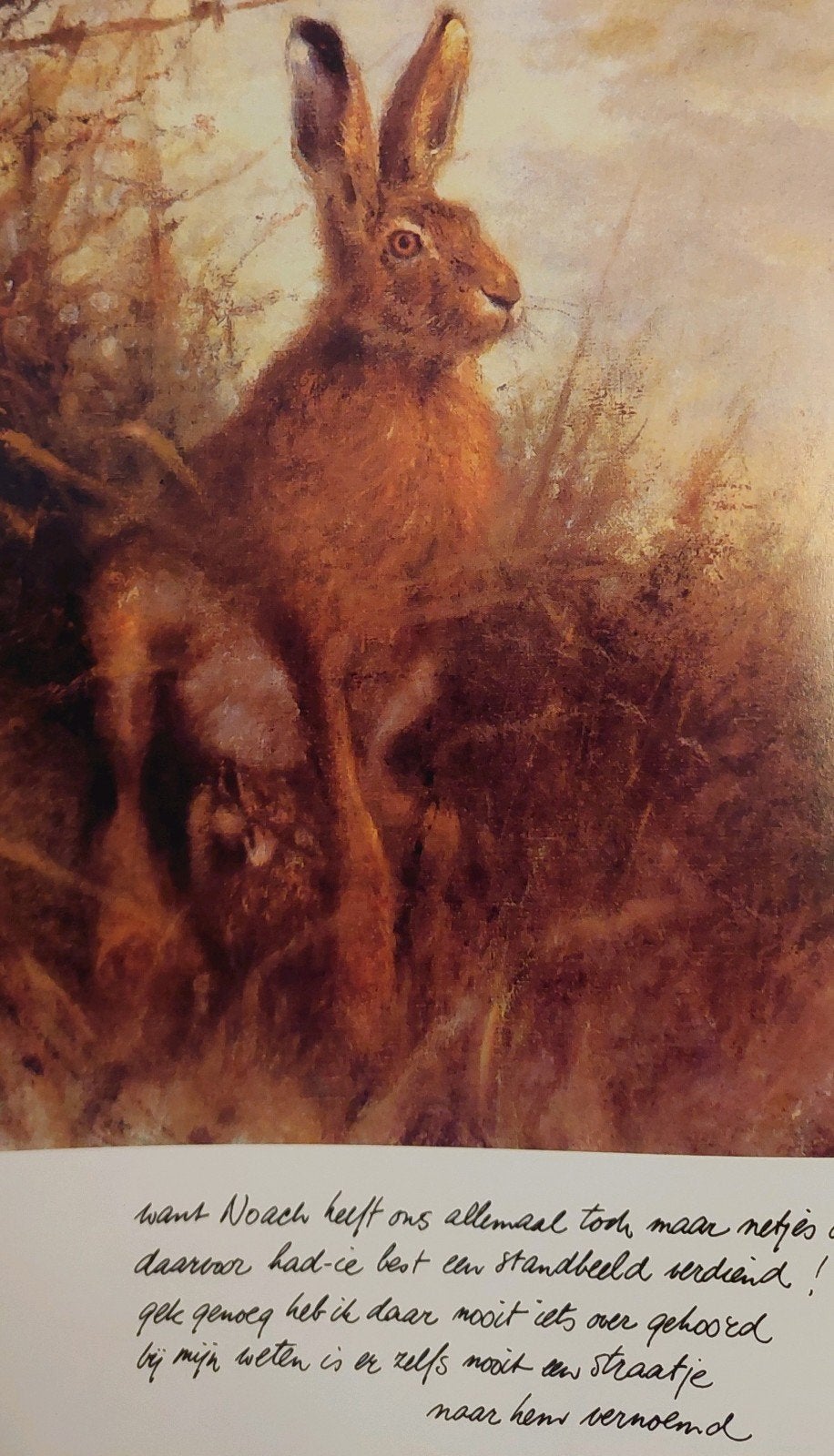 Rien Poortvliet - De Ark van Noach, Boeken, Ophalen of Verzenden