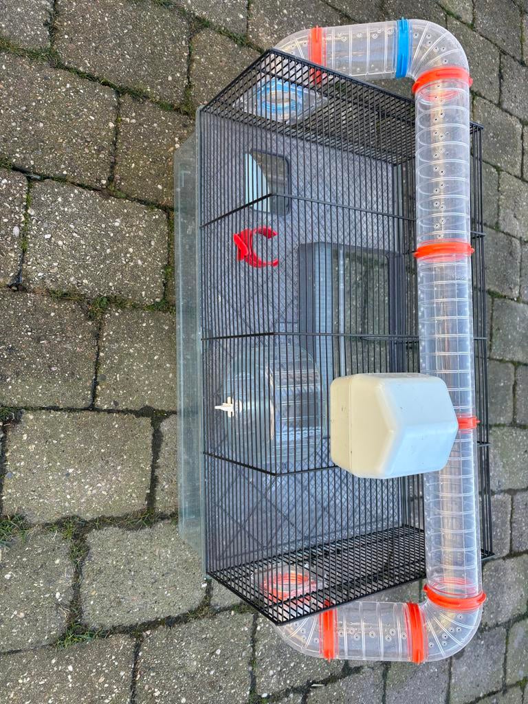 Te koop nette muizen/hamsterkooi, Kooi, Minder dan 75 cm, Zo goed als nieuw, Muis