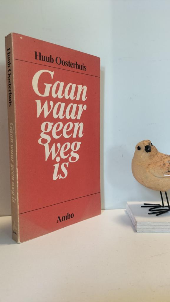 Oosterhuis, Huub; Gaan waar geen weg is, Ophalen of Verzenden, Gelezen, Christendom | Protestants