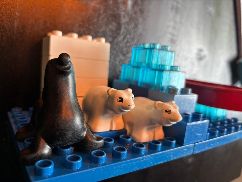 Duplo setje met dieren, Ophalen of Verzenden, Gebruikt, Duplo