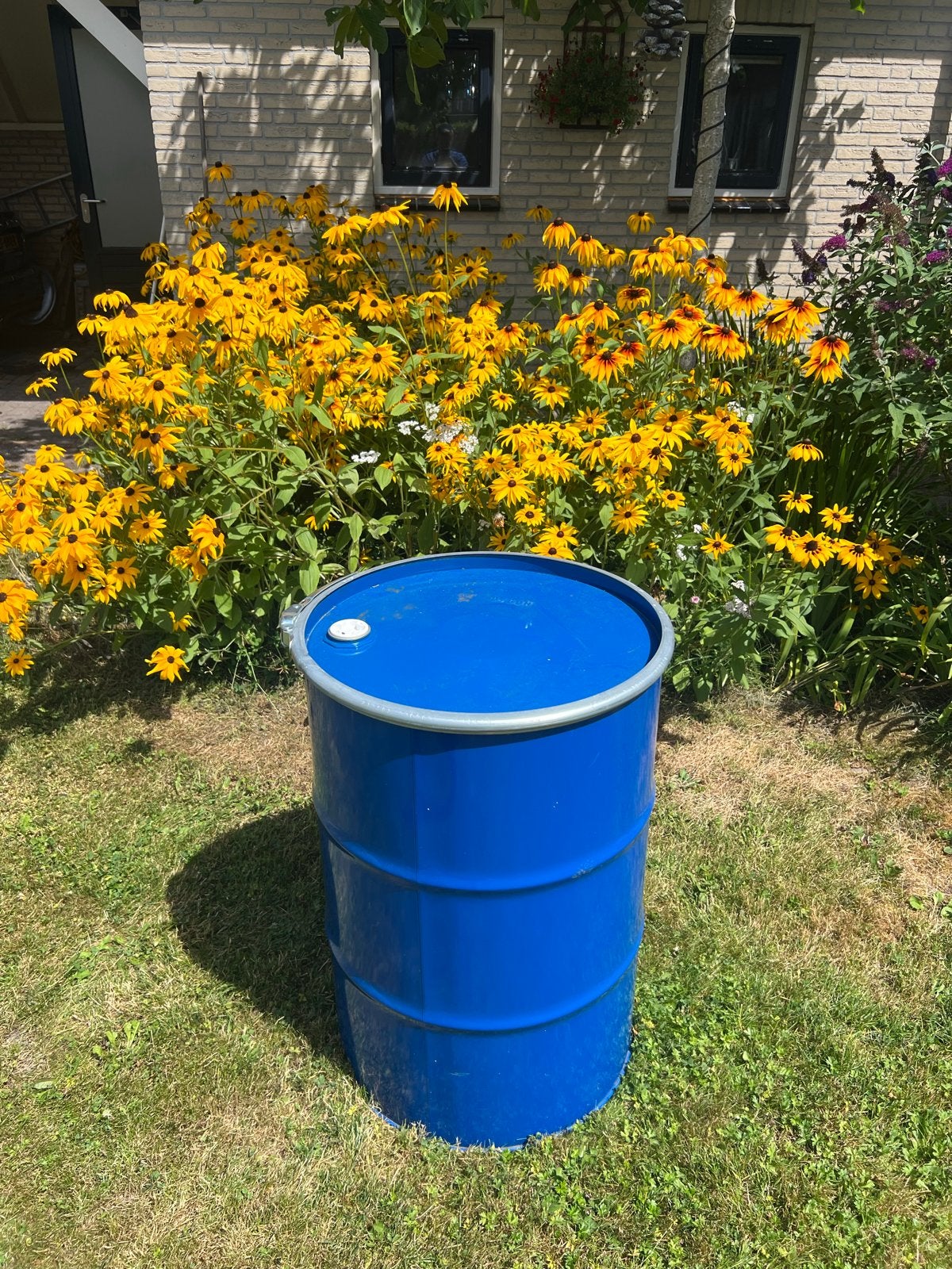 Blauwe regenton / waterton - 200 liter, 150 liter of meer, Ophalen, Gebruikt, Metaal