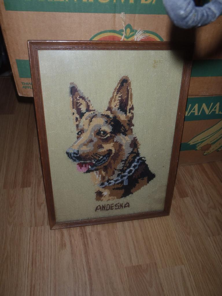 Een leuke lijst met hond 37 x 27  kruisjes, Ophalen of Verzenden, Zo goed als nieuw, Hout
