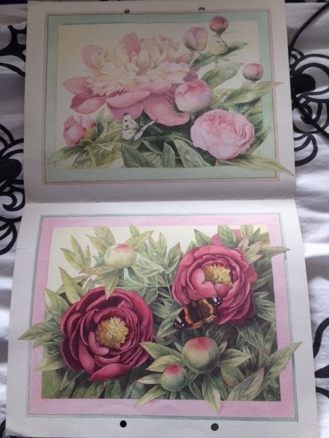 2 mooie platen van Marjolein Bastin, Natuur, Gebruikt, 1980 tot heden, Ophalen of Verzenden