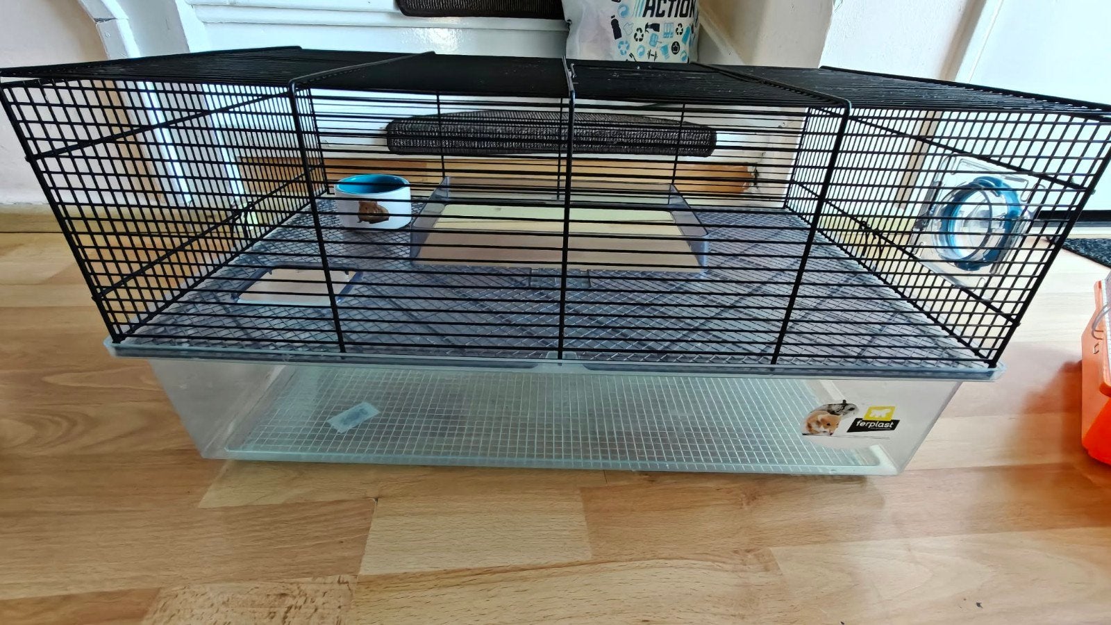 kooi, Kooi, Gebruikt, Cavia, Ophalen