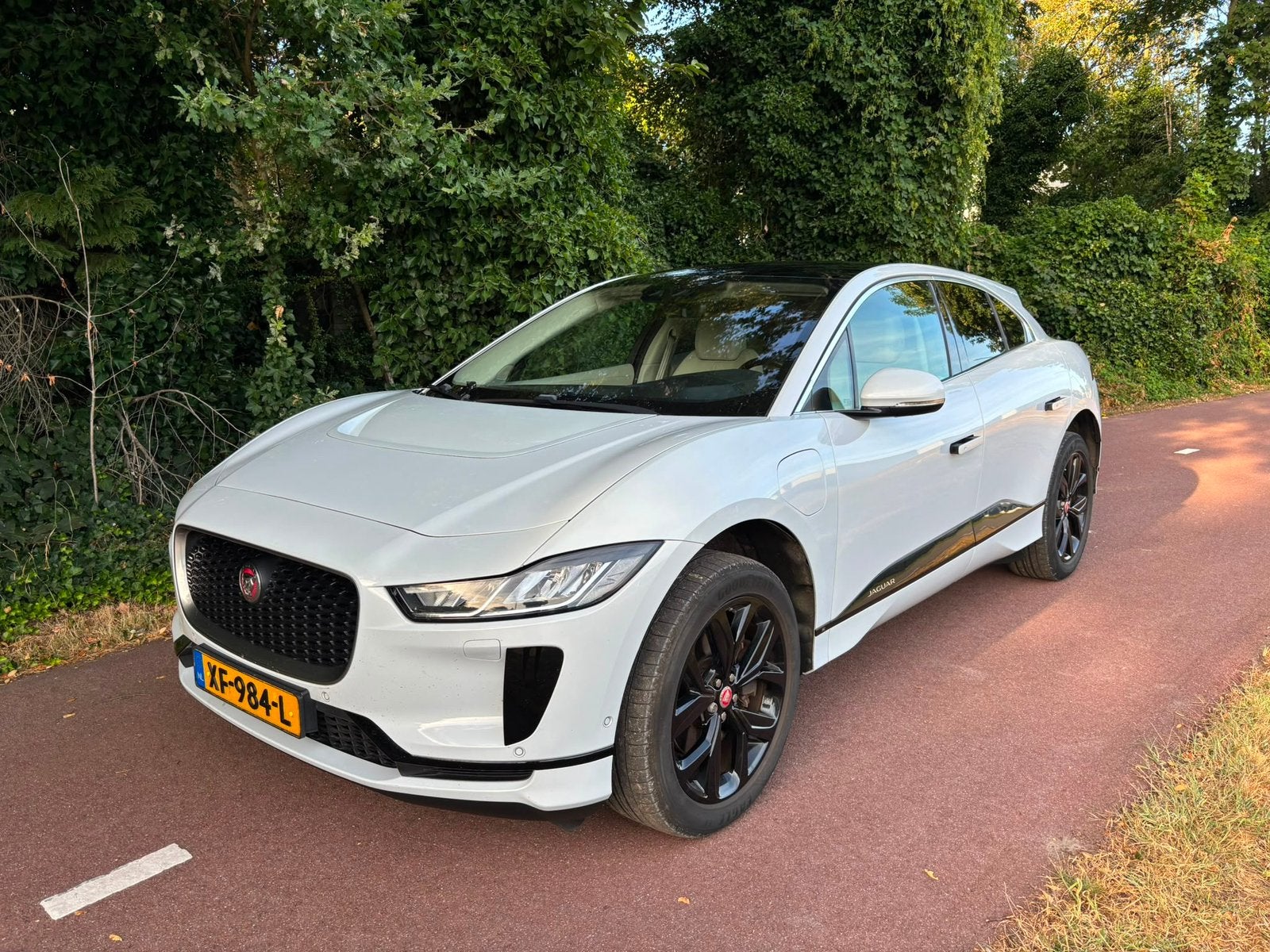 Jaguar I-PACE Ev400 400pk AWD Aut 2018 Wit, 750 kg, I-PACE, 234 pk, Wit