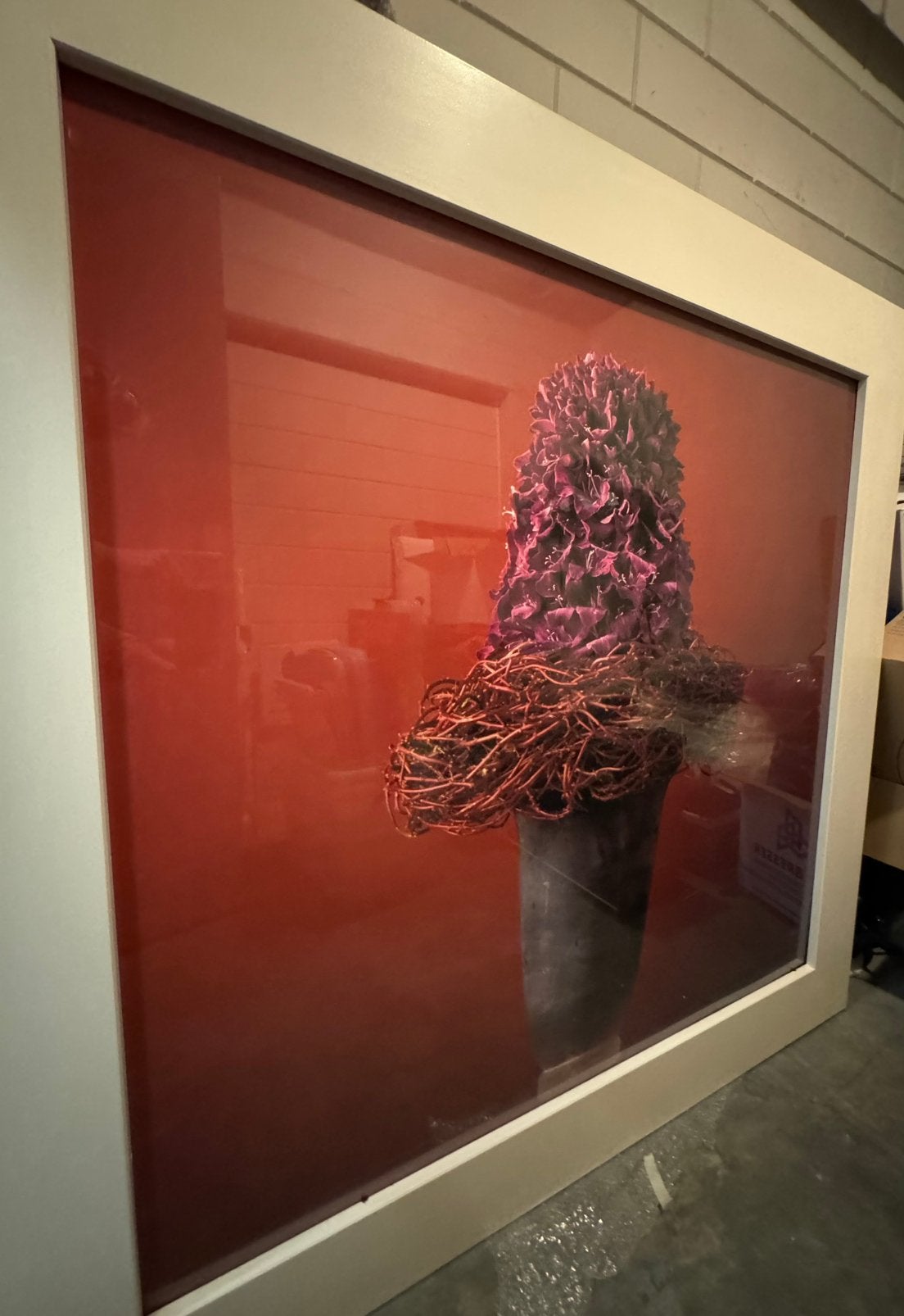 Speciale afdruk van foto boek marcel wolterinck, Ophalen of Verzenden
