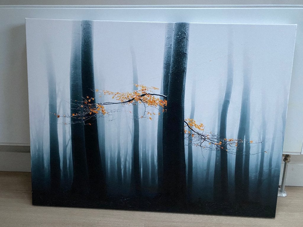 B013 Canvas schilderij bos in de mist 100x75, Ophalen, Zo goed als nieuw, Schilderij