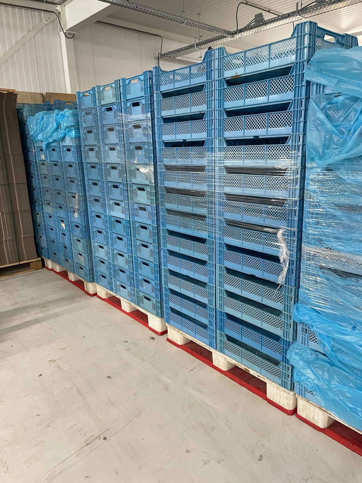 Blauwe kunststof kratten - Ideaal voor opslag en transport, Ophalen, Gebruikt, 40 tot 60 cm, 50 tot 75 cm