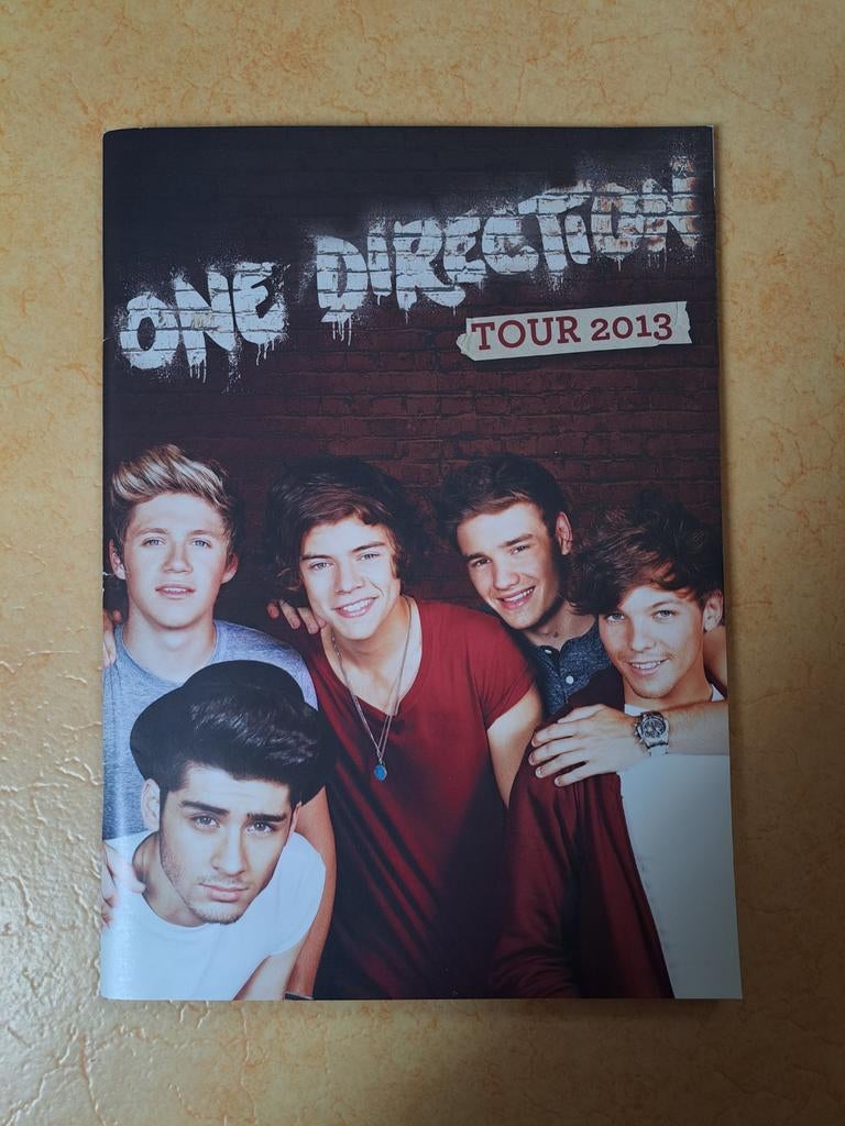 One Direction Worldtour 2013, Boeken, Ophalen of Verzenden, Zo goed als nieuw, Artiest