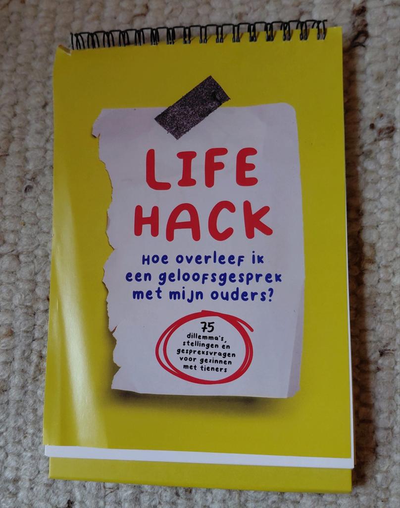 Willemijn de Weerd - Lifehack, Ophalen of Verzenden, Zo goed als nieuw, Willemijn de Weerd; Ingrid Plantinga, Christendom | Katholiek